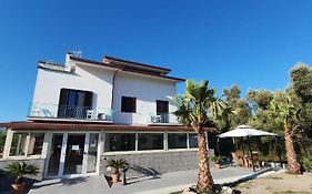 Ohana B&B